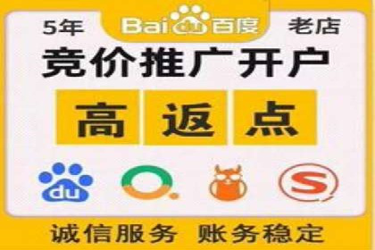 行业领先企业的SEM开户成功案例
